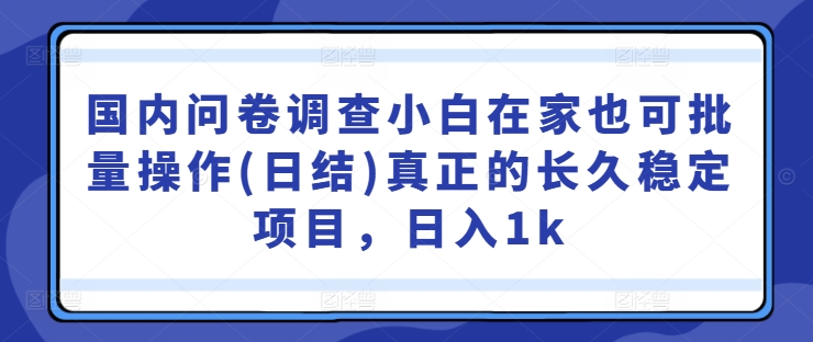 国内问卷调查小白在家也可批量操作(日结)真正的长久稳定项目，日入1k【揭秘】-小艾网创