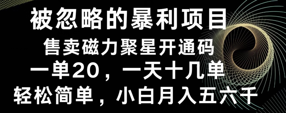 被忽略的暴利项目！售卖磁力聚星开通码，一单20，一天十几单，轻松月入五六千-小艾网创