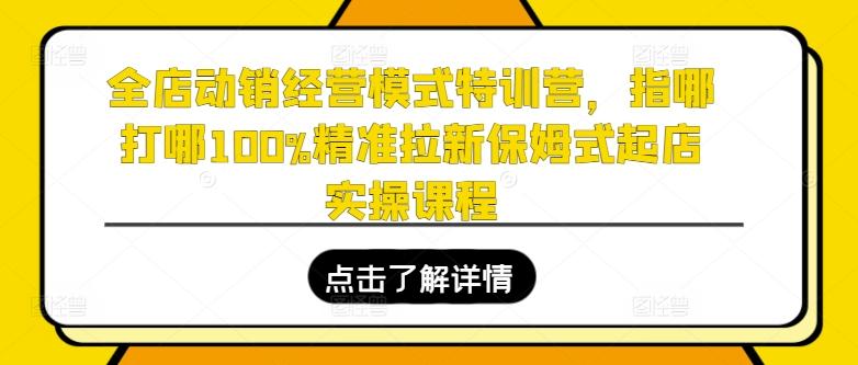 全店动销经营模式特训营，指哪打哪100%精准拉新保姆式起店实操课程-小艾网创