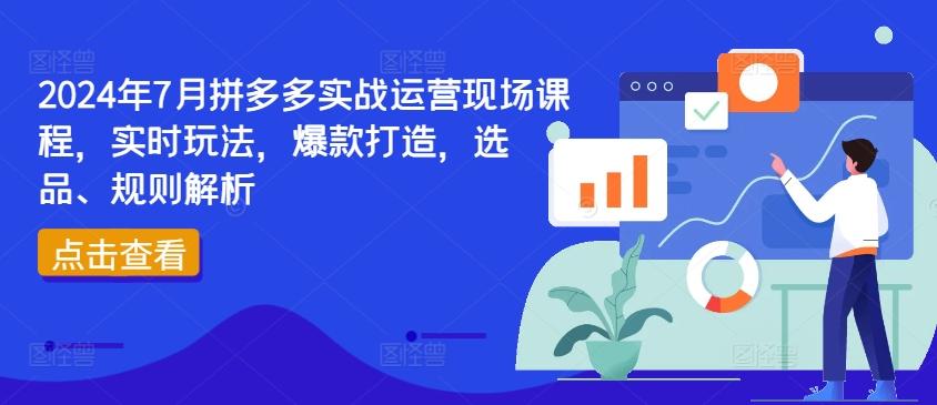 2024年7月拼多多实战运营现场课程，实时玩法，爆款打造，选品、规则解析-小艾网创