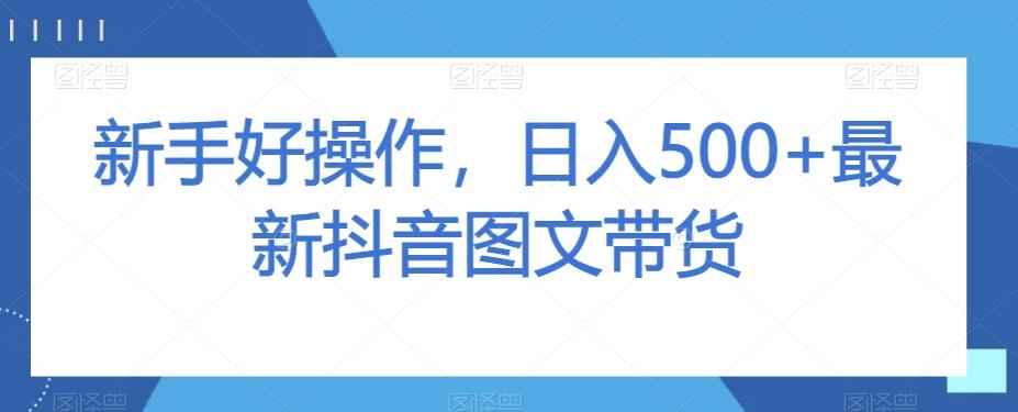 新手好操作，日入500+最新抖音图文带货【揭秘】-小艾网创