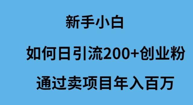 (9668期)新手小白如何日引流200+创业粉通过卖项目年入百万-小艾网创