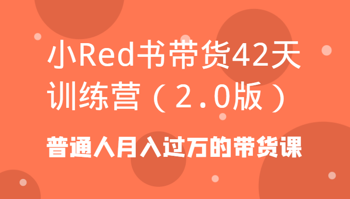 小Red书带货42天训练营(2.0版)普通人月入过万的带货课-小艾网创