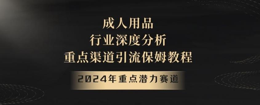 2024年重点潜力赛道，成人用品行业深度分析，重点渠道引流保姆教程【揭秘】-小艾网创