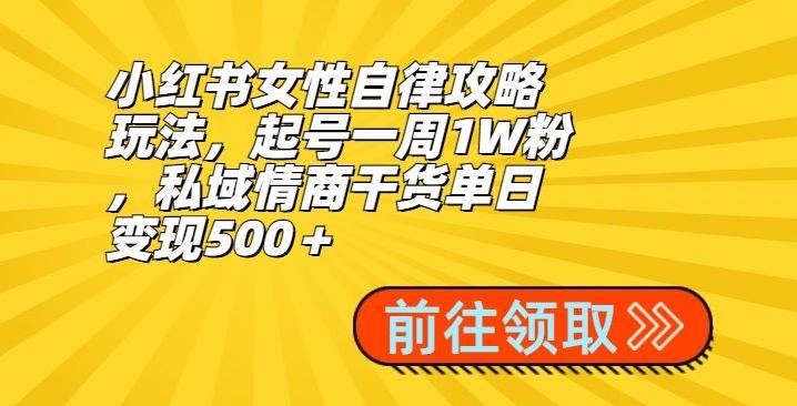 小红书女性自律攻略玩法，起号一周1W粉，私域情商干货单日变现500＋-小艾网创