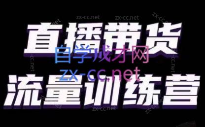 婉婉·直播带货课程系列合集(更新8月)-小艾网创