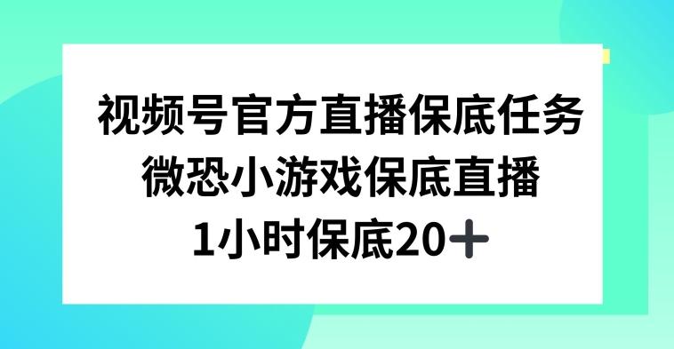 视频号直播任务，微恐小游戏，1小时20+【揭秘】-小艾网创