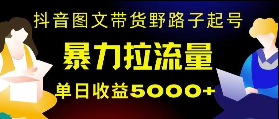 抖音图文带货暴力起号，单日收益5000+，野路子玩法，简单易上手，一部手机即可【揭秘】-小艾网创