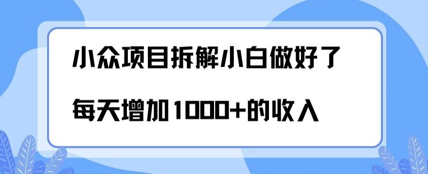 小众项目拆解，小白做好了每天可增加1000多的收入-小艾网创