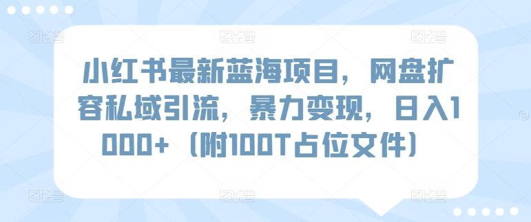 小红书最新蓝海项目，网盘扩容私域引流，暴力变现，日入1000+(附100T占位文件)【揭秘】-小艾网创