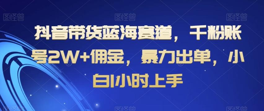 抖音带货蓝海赛道，千粉账号2W+佣金，暴力出单，小白1小时上手【揭秘】-小艾网创