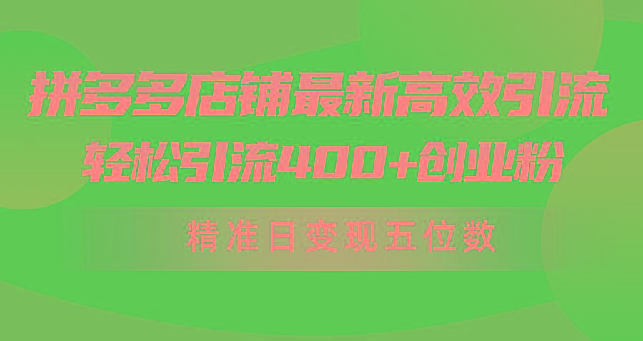(10041期)拼多多店铺最新高效引流术，轻松引流400+创业粉，精准日变现五位数！-小艾网创