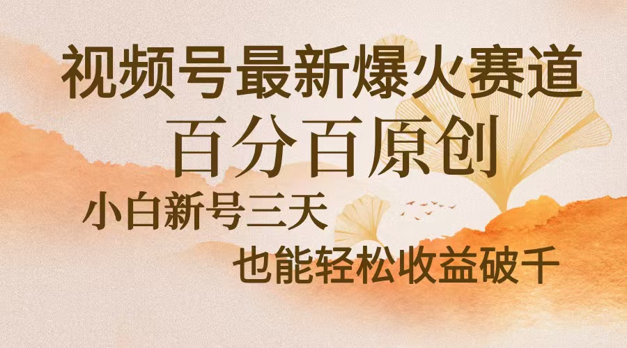 视频号最新爆火赛道，中老年粉深信不疑，百分百原创，新号三天收益轻松…-小艾网创