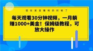 每天观看30分钟视频，一月躺赚1000+美金！保姆级教程，可放大操作【揭秘】-小艾网创