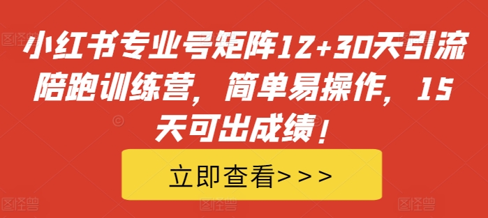 小红书专业号矩阵12+30天引流陪跑训练营，简单易操作，15天可出成绩!-小艾网创