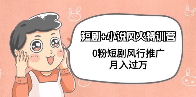 (9374期)短剧+小说风火特训营，0粉短剧风行推广，月入过万(102节课)-小艾网创