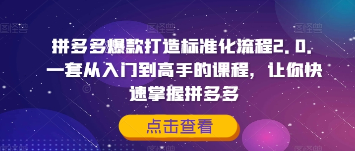 拼多多爆款打造标准化流程2.0，一套从入门到高手的课程，让你快速掌握拼多多-小艾网创