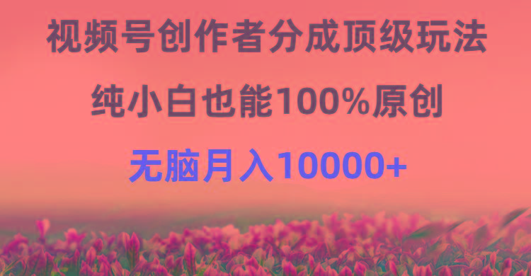 (9608期)视频号创作者分成顶级玩法，纯小白也能100%原创，无脑月入10000+-小艾网创