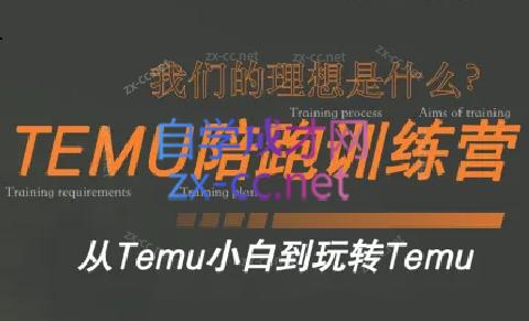苗苗·拼多多跨境（temu）课程-小艾网创