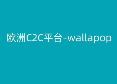 欧洲C2C平台-wallapop-kim跨境电商教程-小艾网创