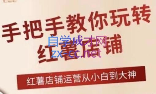 海燕老师·2024手把手教你玩转红薯店铺-小艾网创