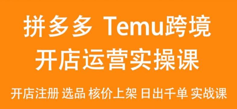 2024Temu最新玩法，Temu跨境开店运营实操课，开店注册/选品/核价上架/日出千单实战课-小艾网创