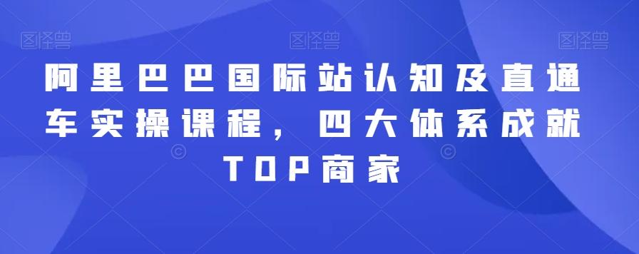 阿里巴巴国际站认知及直通车实操课程，四大体系成就TOP商家-小艾网创