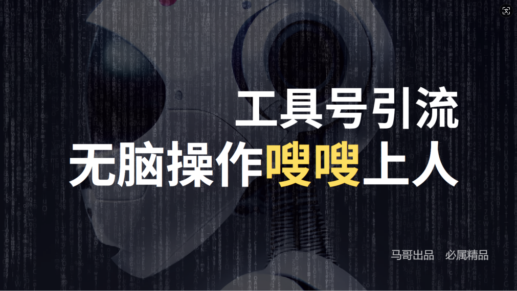 24年抖音最新工具号日引流300+创业粉，日入5000+-小艾网创