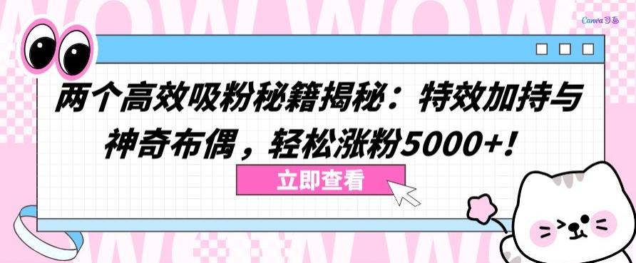 两个高效吸粉秘籍揭秘：特效加持与神奇布偶，轻松涨粉5000+【揭秘】-小艾网创