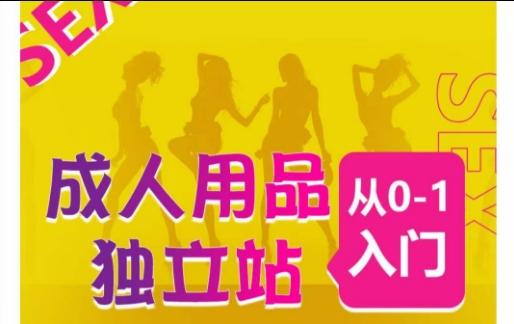 成人用品独立站从0-1入门，成品独立站运营全流程教学，七大好卖成品独立站推荐-小艾网创
