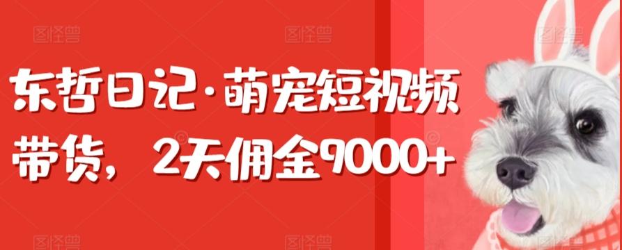 东哲日记·萌宠短视频带货，2天佣金9000+-小艾网创