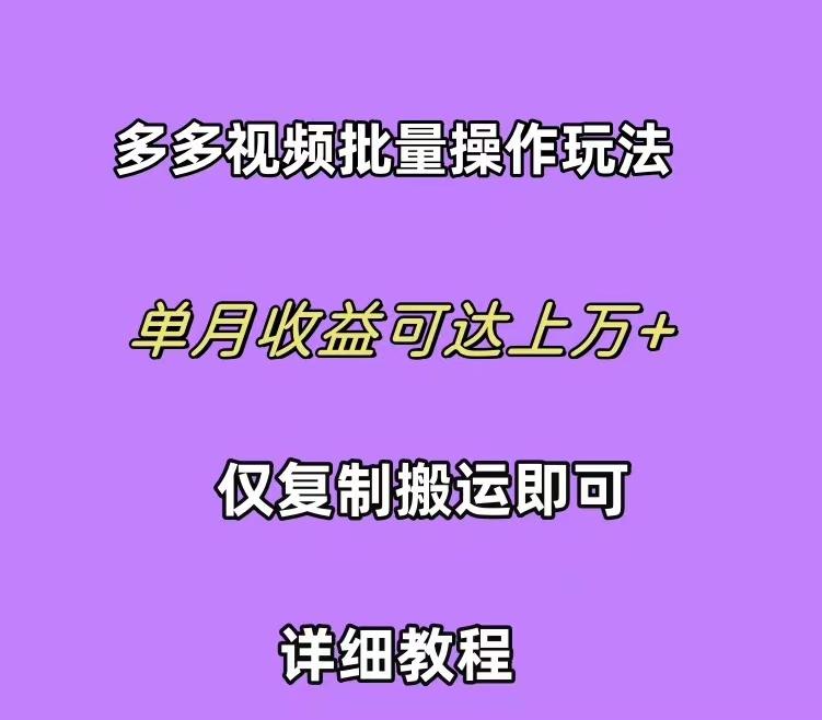 (10029期)拼多多视频带货快速过爆款选品教程 每天轻轻松松赚取三位数佣金 小白必…-小艾网创