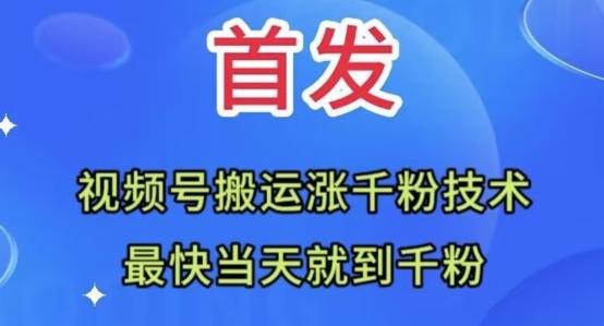 全网首发：视频号无脑搬运涨千粉技术，最快当天到千粉【揭秘】-小艾网创