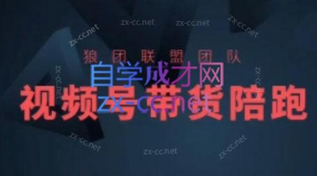 狼团联盟·2024视频号带货-小艾网创