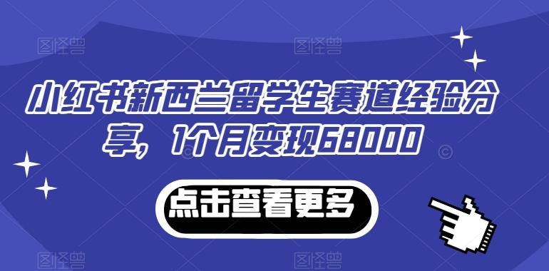 小红书新西兰留学生赛道经验分享，1个月变现68000【揭秘】-小艾网创