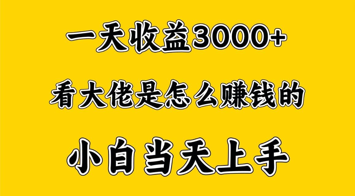 一天赚3000多，大佬是这样赚到钱的，小白当天上手，穷人翻身项目-小艾网创