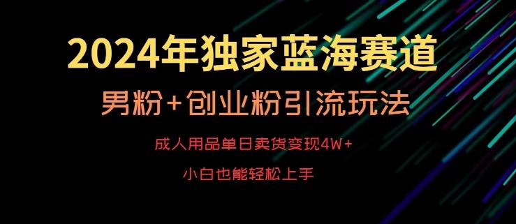 2024年独家蓝海赛道，成人用品单日卖货变现4W+，男粉+创业粉引流玩法，不愁搞不到流量【揭秘】-小艾网创