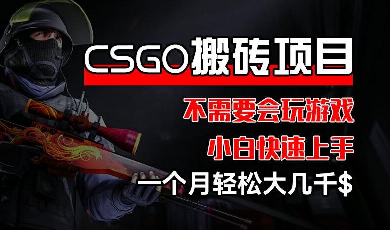 CSGO 装备搬砖项目，操作简单，不需要会玩游戏，小白也能快速上手，一个月轻松大几千【揭秘】-小艾网创