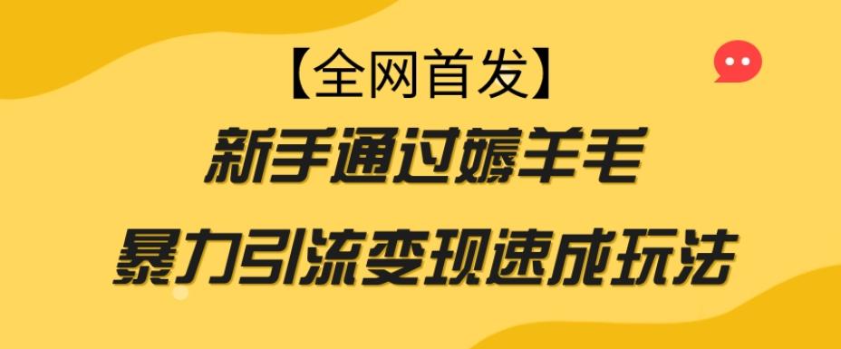 【全网首发】新手通过薅羊毛暴力引流变现速成玩法-小艾网创