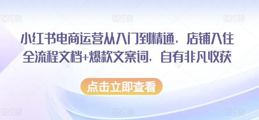小红书电商运营从入门到精通，店铺入住全流程文档+爆款文案词，自有非凡收获-小艾网创
