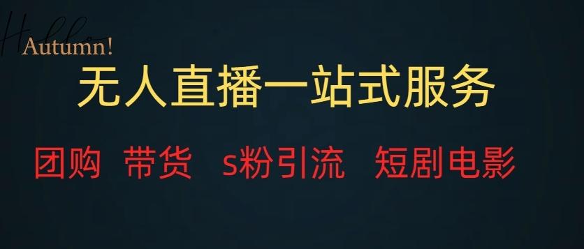 无人直播一站式服务（教程以及变现方式）-小艾网创