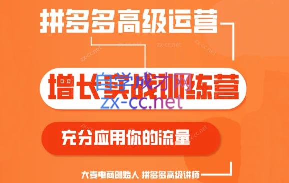 大麦老师·拼多多单品爆款打造课程(更新6月)-小艾网创