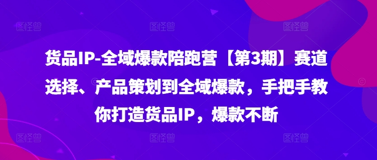 货品IP全域爆款陪跑营【第3期】赛道选择、产品策划到全域爆款，手把手教你打造货品IP，爆款不断-小艾网创