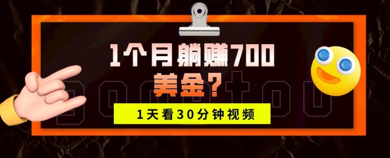 1天看30分钟视频，1个月躺赚700美金？-小艾网创
