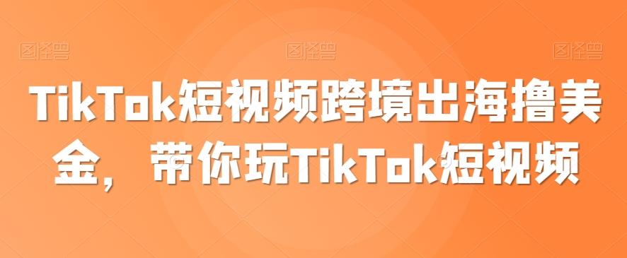 TikTok短视频跨境出海撸美金，带你玩TikTok短视频-小艾网创
