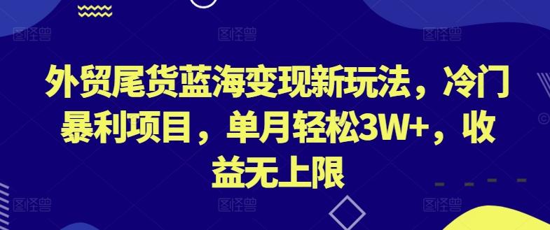 外贸尾货蓝海变现新玩法，冷门暴利项目，单月轻松3W+，收益无上限【揭秘】-小艾网创