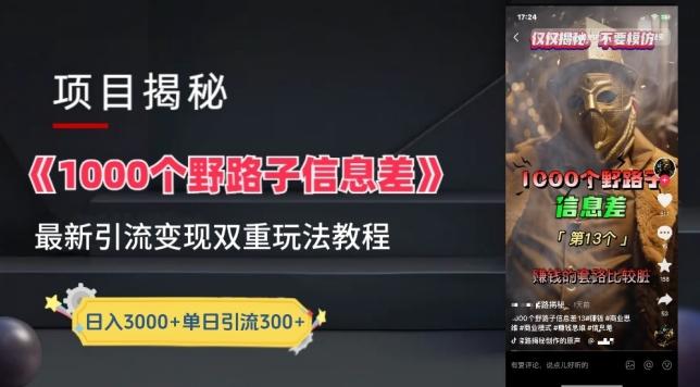 一千个野路子信息差最新玩法教程-变现+引流的玩法具体拆解【揭秘】-小艾网创