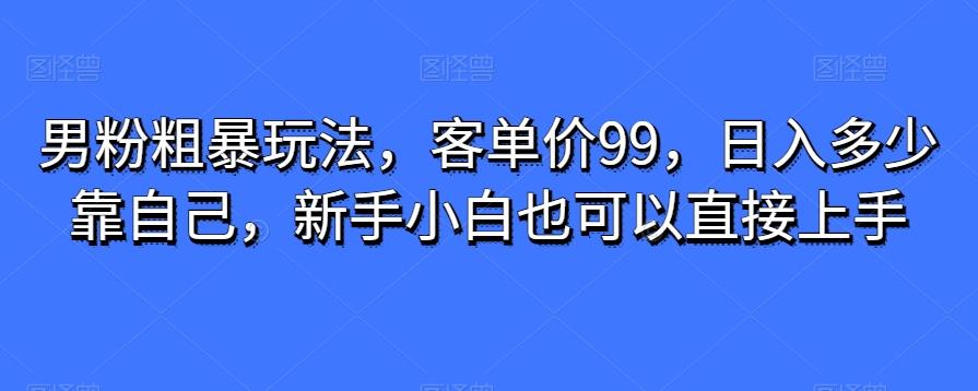 男粉粗暴玩法，客单价99，日入多少靠自己，新手小白也可以直接上手-小艾网创