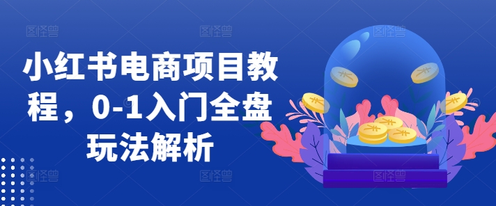小红书电商项目教程，0-1入门全盘玩法解析-小艾网创