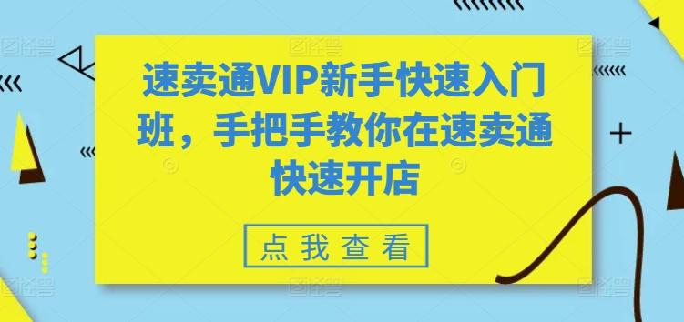 速卖通VIP新手快速入门班，手把手教你在速卖通快速开店-小艾网创
